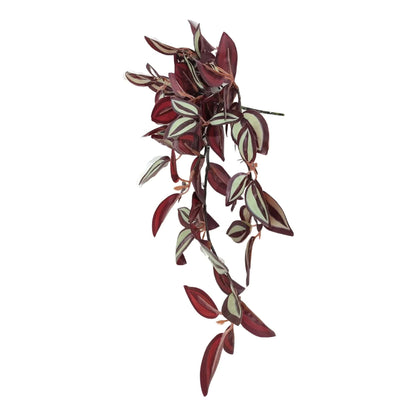Designer Plants Artificial Hanging Burgundy Tradescantia Zebrina 42cm - Lifelike, Low Maintenance