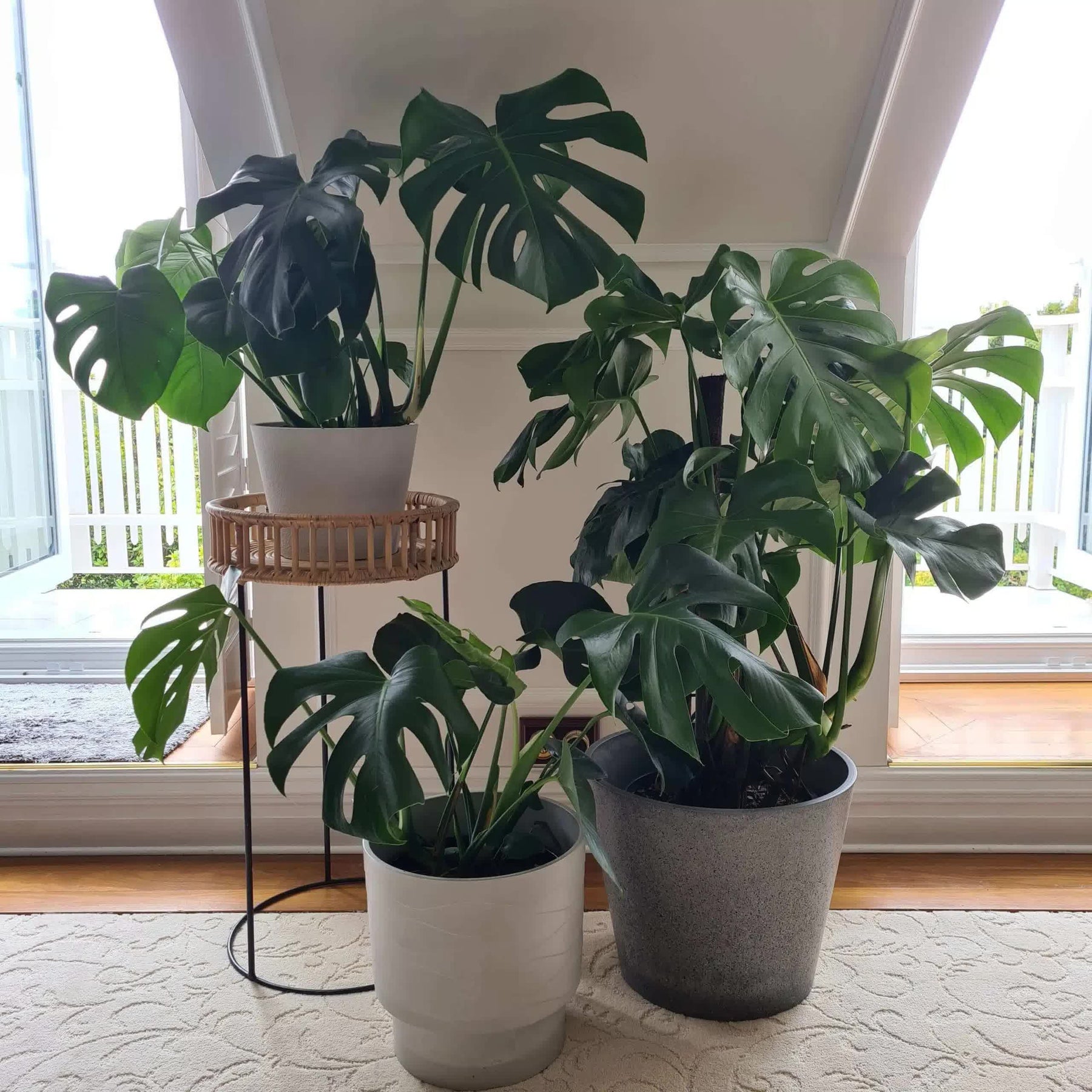 Designer Pot White Rendered Planter Pot 25cm - Eco-Friendly, Durable, Textured - SuperSaverAU - view 3