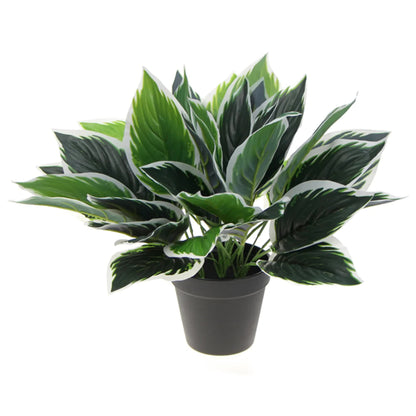 Dense Potted Artificial Calathea Plant 35cm - Lifelike Green & White Leaves