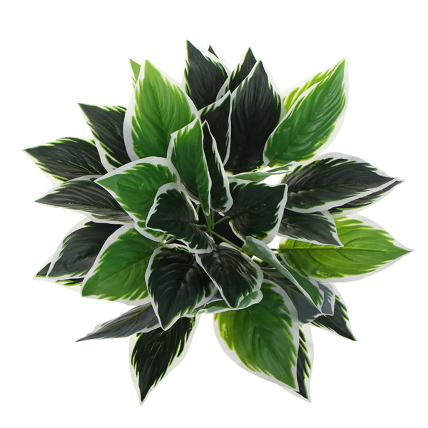 Dense Potted Artificial Calathea Plant 35cm - Lifelike Green & White Leaves