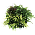 Slimline Artificial Green Wall Disc Art 50cm White Frame, UV Resistant Foliage - SuperSaverAU - view 1