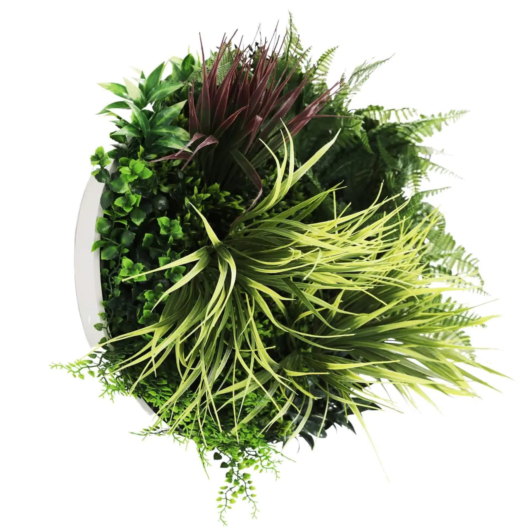 Slimline Artificial Green Wall Disc Art 50cm White Frame, UV Resistant Foliage - SuperSaverAU - view 3