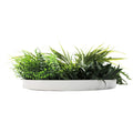 Slimline Artificial Green Wall Disc Art 50cm White Frame, UV Resistant Foliage - SuperSaverAU - view 4