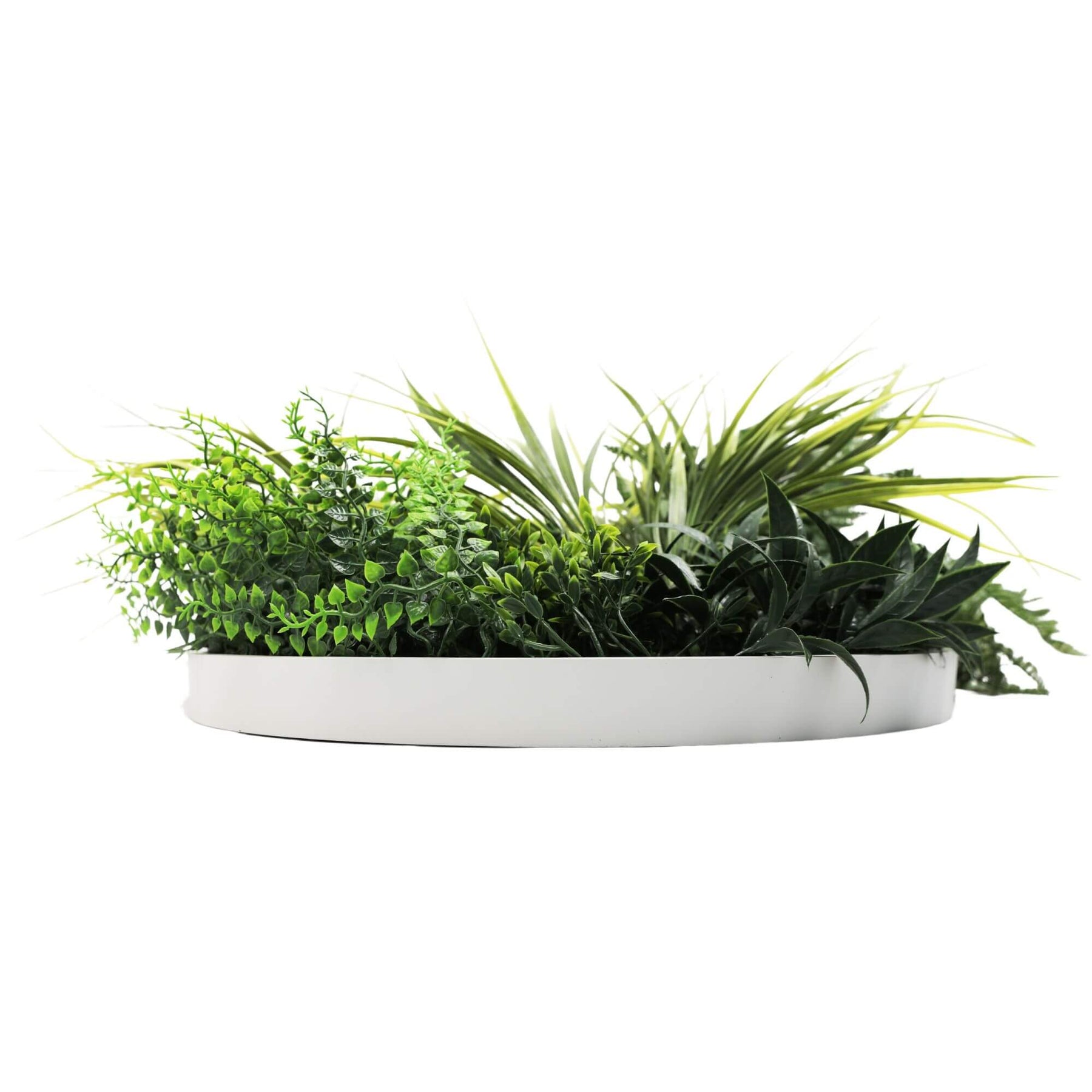 Slimline Artificial Green Wall Disc Art 50cm White Frame, UV Resistant Foliage - SuperSaverAU - view 4