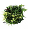 Slime-line Green Wall Disc Art 50cm - Indoor UV Resistant Grassy Fern Fields - SuperSaverAU - view 2