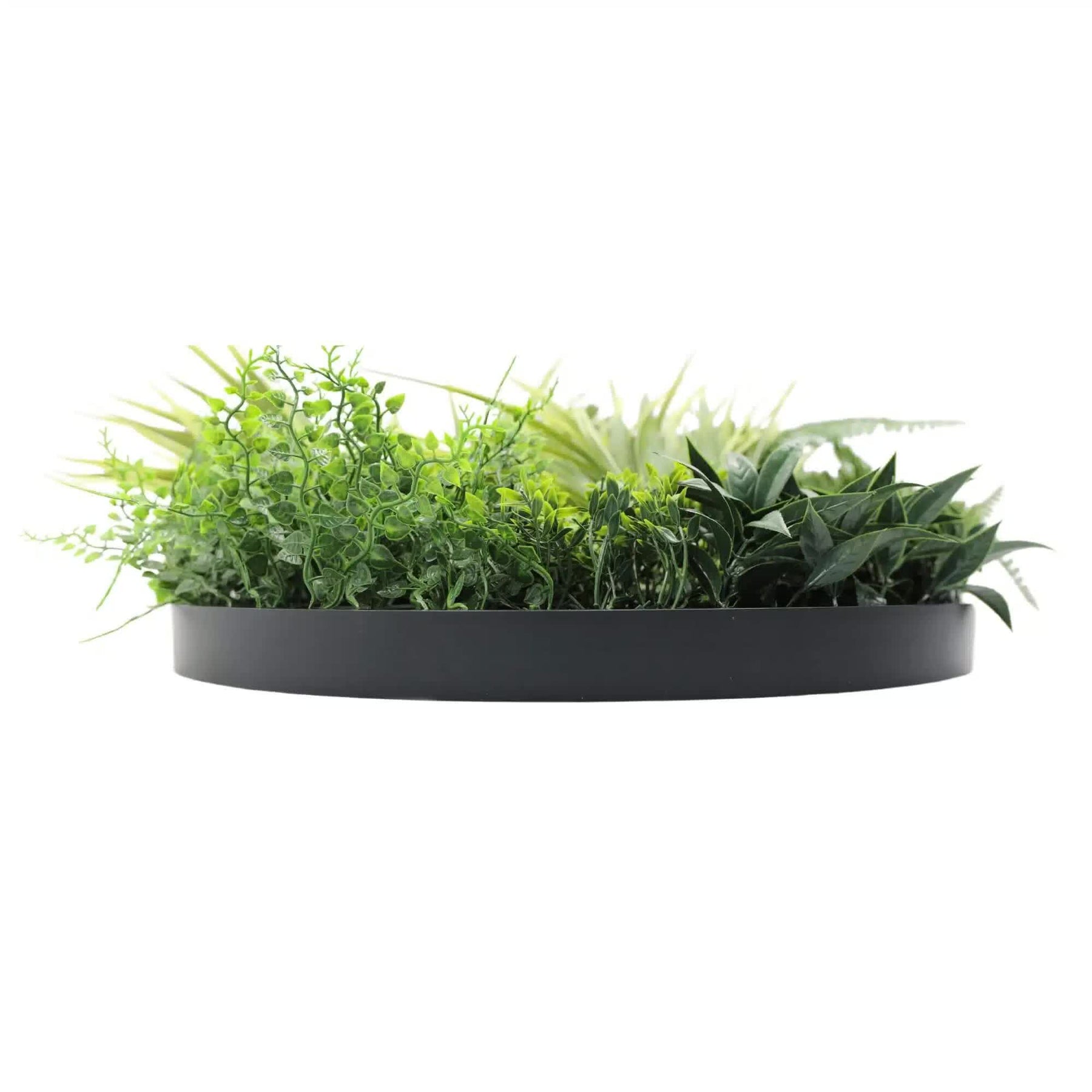 Slime-line Green Wall Disc Art 50cm - Indoor UV Resistant Grassy Fern Fields - SuperSaverAU - view 3