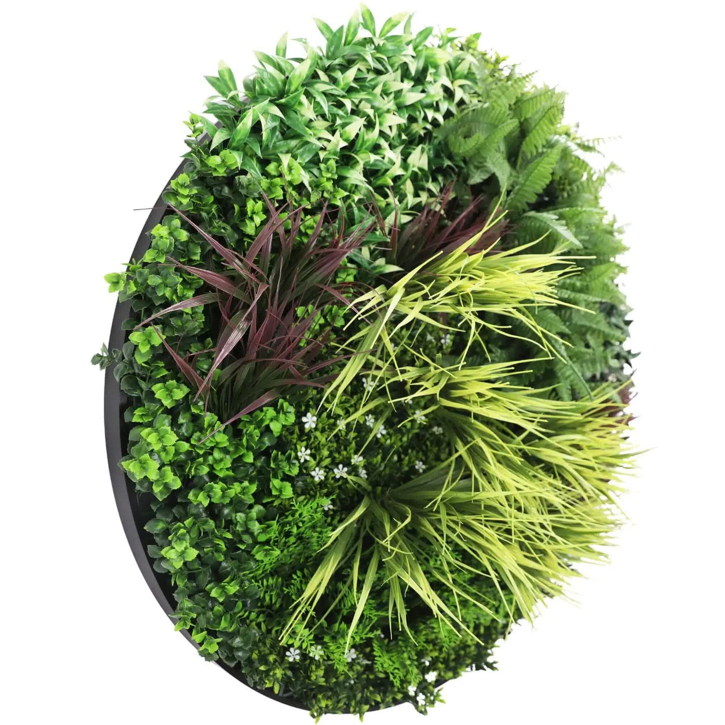 Slime-line Green Wall Disc 100cm Black Frame Artificial Fern UV Resistant