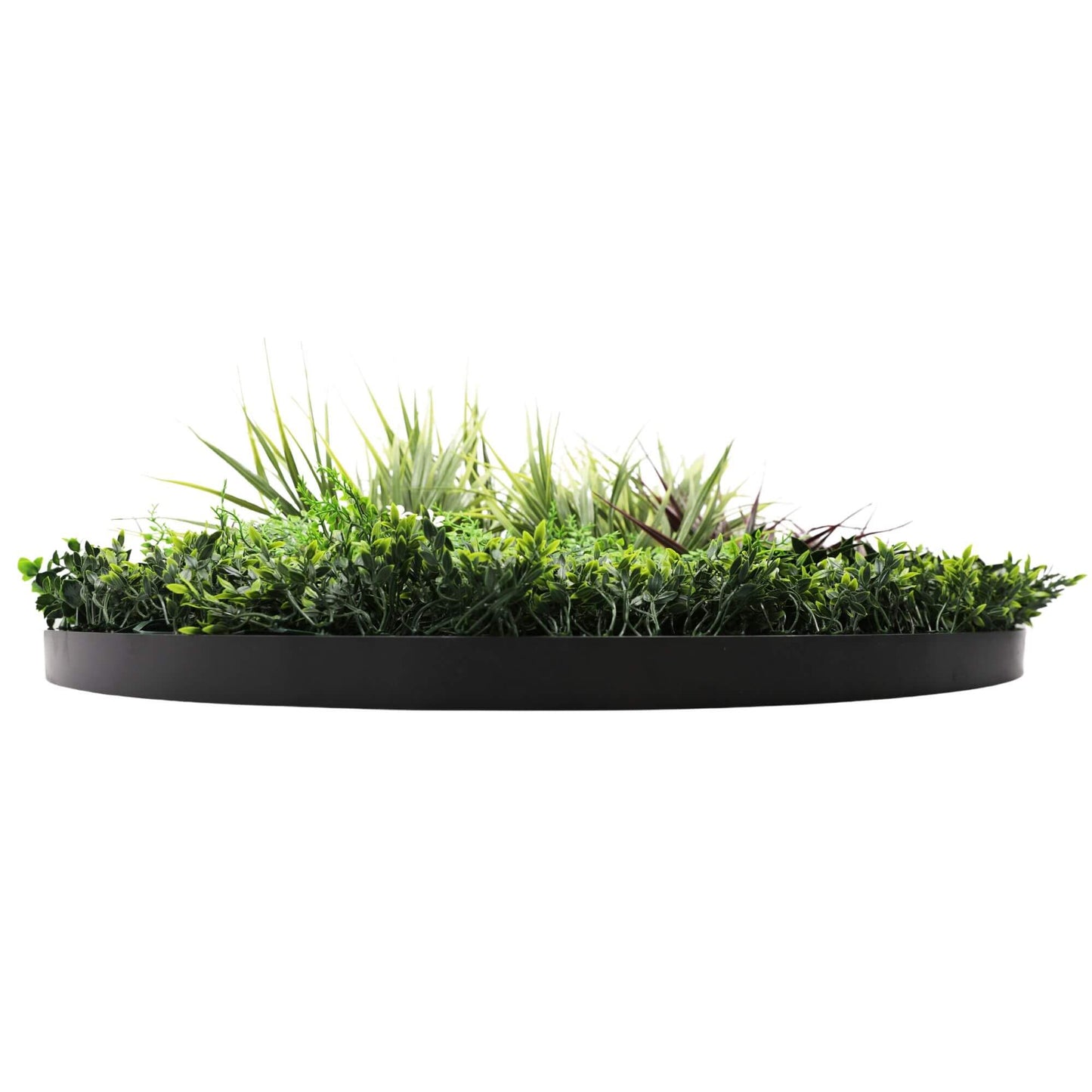 Slime-line Green Wall Disc 100cm Black Frame Artificial Fern UV Resistant