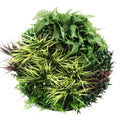 Premium 80cm Artificial Green Wall Disc Art - UV Resistant Black Frame - SuperSaverAU - view 3