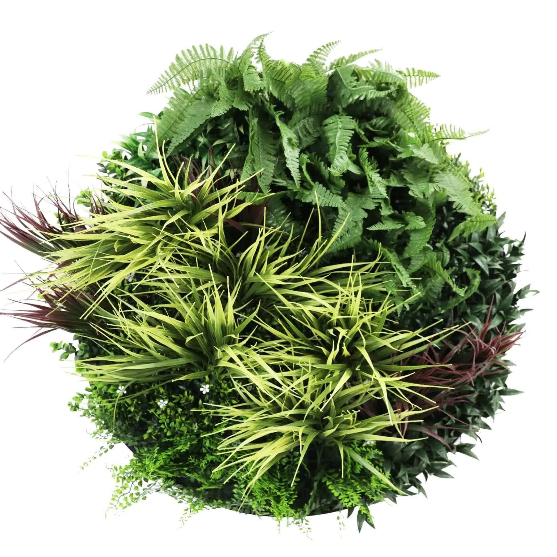 Premium 80cm Artificial Green Wall Disc Art - UV Resistant Black Frame - SuperSaverAU - view 3