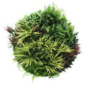 80cm Slimline Artificial Green Wall Disc Art - UV Resistant Grassy Fern (White) - SuperSaverAU - view 1