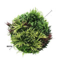 80cm Slimline Artificial Green Wall Disc Art - UV Resistant Grassy Fern (White) - SuperSaverAU - view 2