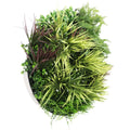 80cm Slimline Artificial Green Wall Disc Art - UV Resistant Grassy Fern (White) - SuperSaverAU - view 4