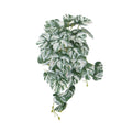 Artificial White Green Monstera Plant Albo Variegata 45cm - Lifelike Indoor Decor - SuperSaverAU - view 1