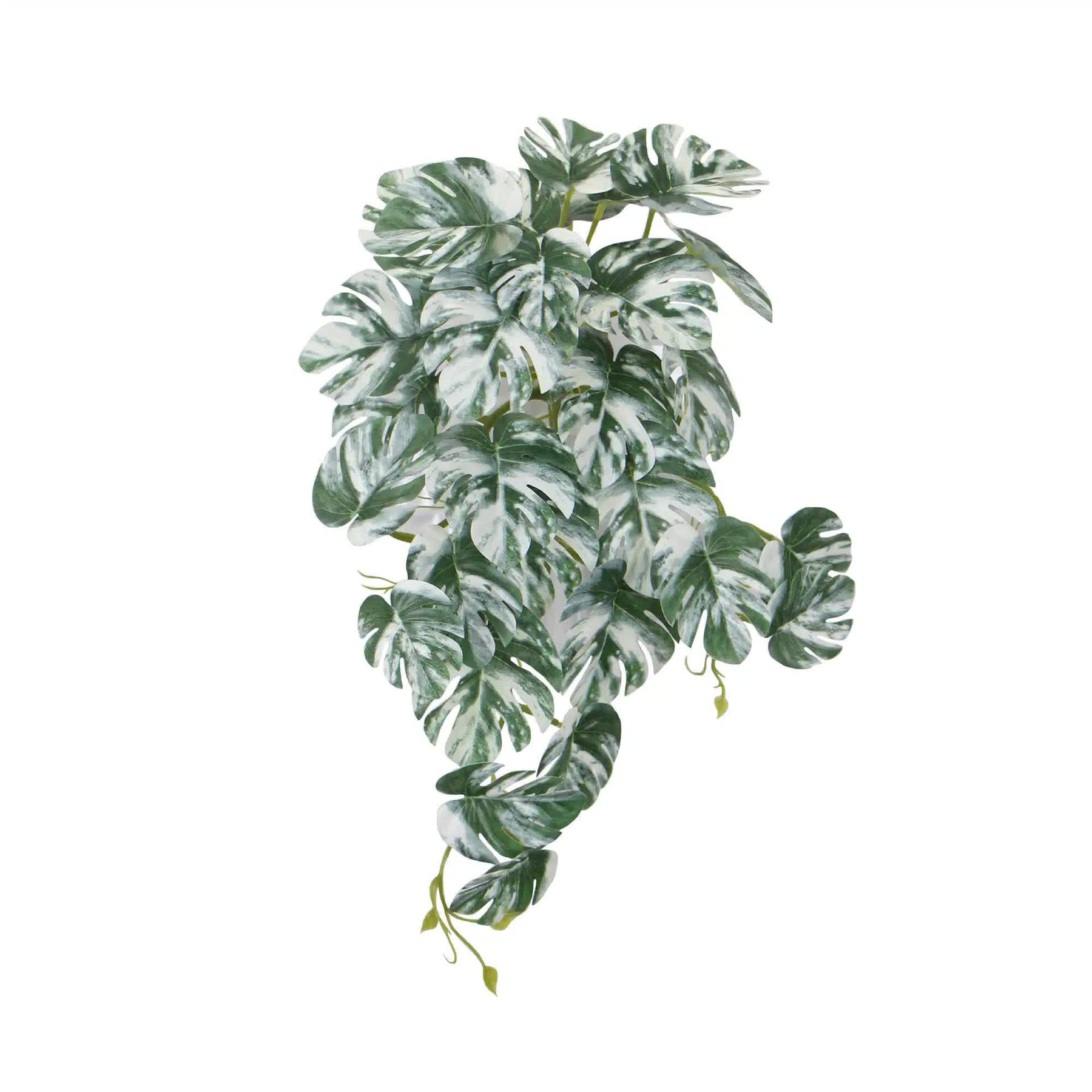 Artificial White Green Monstera Plant Albo Variegata 45cm - Lifelike Indoor Decor - SuperSaverAU - view 1