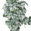 Artificial White Green Monstera Plant Albo Variegata 45cm - Lifelike Indoor Decor - SuperSaverAU - view 4