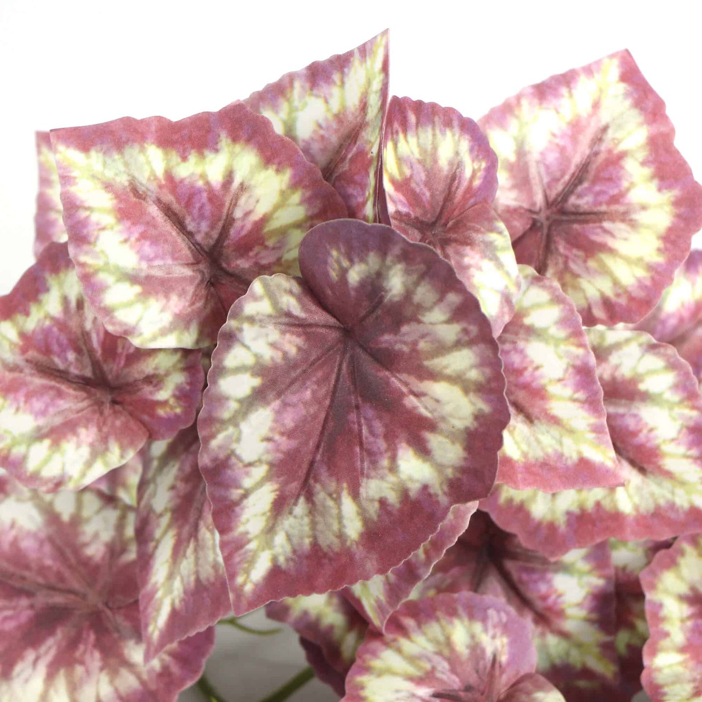 Artificial Red Variegated Tropical Ginger Plant 45cm - Lifelike Indoor Decor