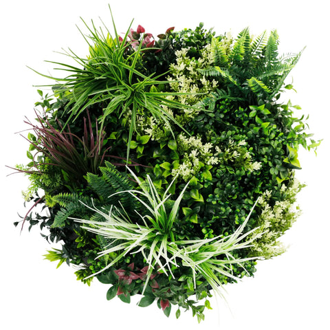 Slimline 60cm Artificial Green Wall Disc Art - Fresh UV Resistant with White Frame - SuperSaverAU - view 1