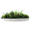Slimline 60cm Artificial Green Wall Disc Art - Fresh UV Resistant with White Frame - SuperSaverAU - view 4