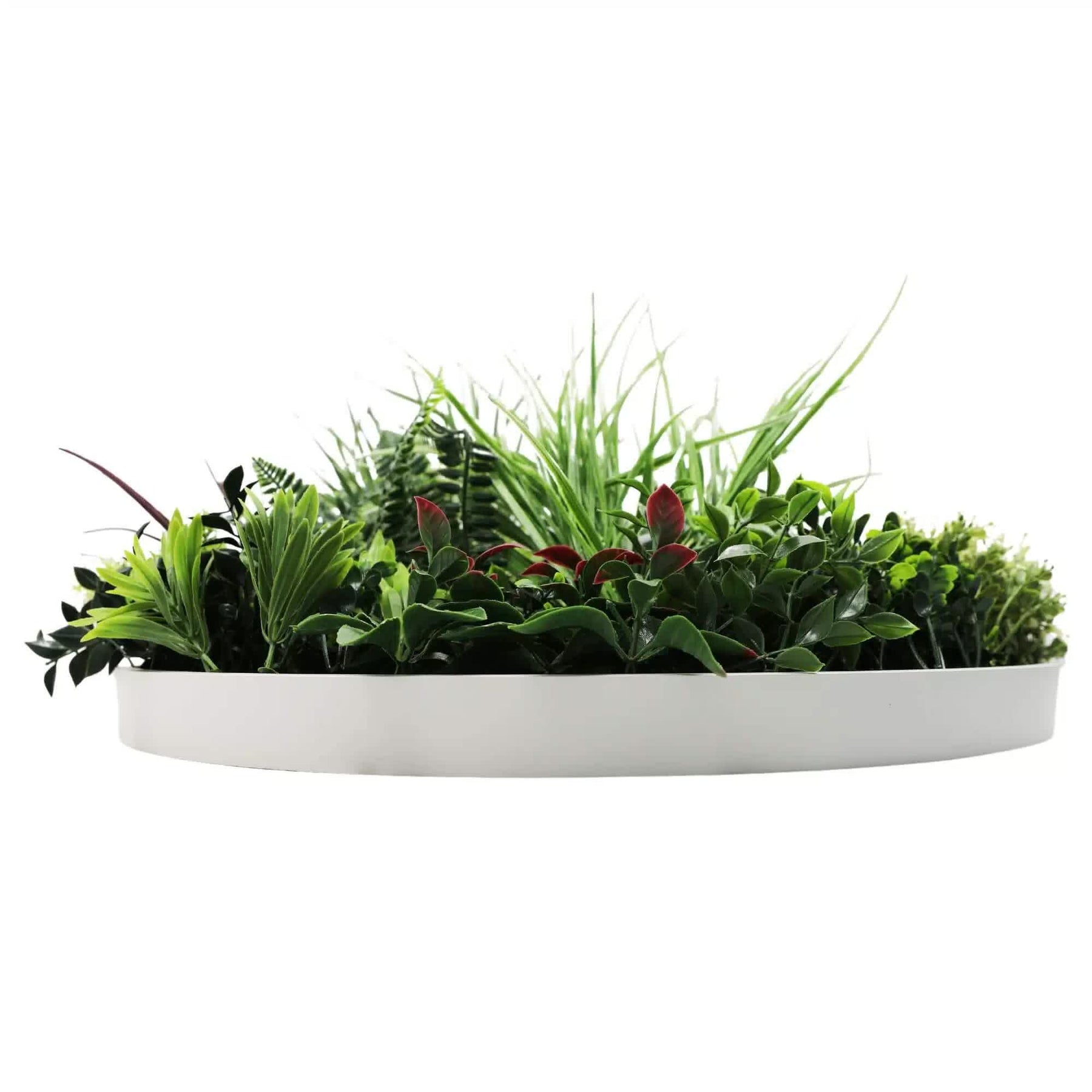 Slimline 60cm Artificial Green Wall Disc Art - Fresh UV Resistant with White Frame - SuperSaverAU - view 4