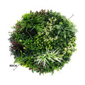 Slime-line 80cm Artificial Green Wall Disc Art UV Resistant White Frame - SuperSaverAU - view 2