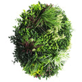 Slime-line 80cm Artificial Green Wall Disc Art UV Resistant White Frame - SuperSaverAU - view 3