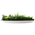 Slime-line 80cm Artificial Green Wall Disc Art UV Resistant White Frame - SuperSaverAU - view 4