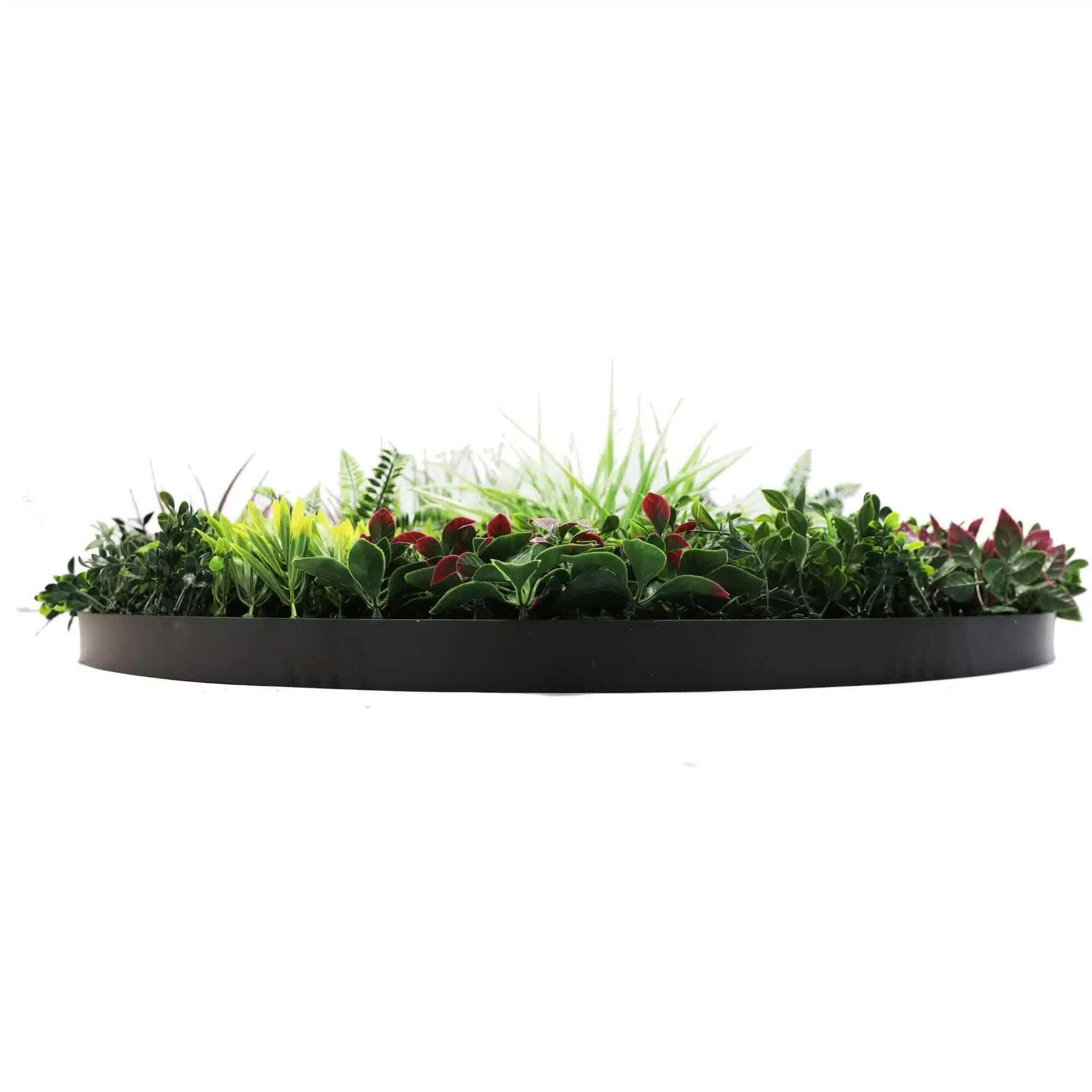 Slimline Green Wall Disc Art 100cm UV Resistant Black Frame Large - SuperSaverAU - view 4