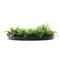 80cm Country Fern Artificial Green Wall Disc Art - UV Resistant, Zero Maintenance - SuperSaverAU - view 4