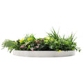 Slimline Artificial Green Wall Disc Art 60cm - UV Resistant Country Fern - SuperSaverAU - view 3