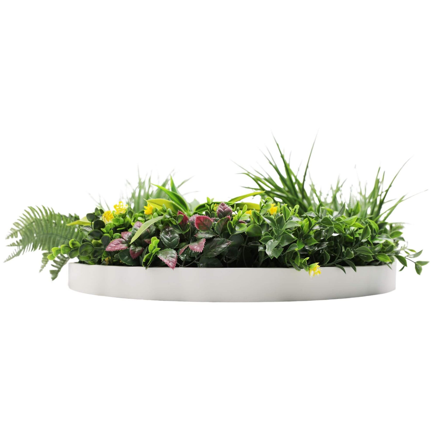Slimline Artificial Green Wall Disc Art 60cm - UV Resistant Country Fern - SuperSaverAU - view 3
