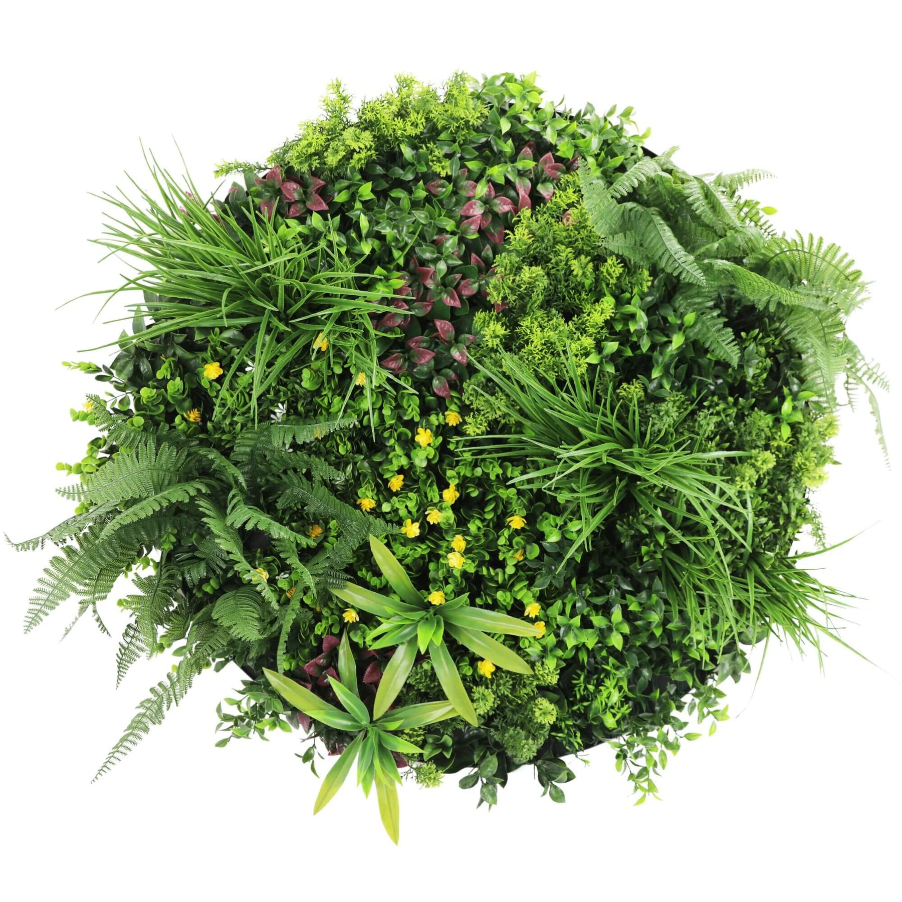 80cm Slimline Artificial Green Wall Disc Art Country Fern - UV Resistant, White Frame - SuperSaverAU - view 3