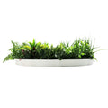 80cm Slimline Artificial Green Wall Disc Art Country Fern - UV Resistant, White Frame - SuperSaverAU - view 4