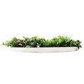 Slime-line Green Wall Disc 100cm - Indoor/Outdoor Artificial Foliage, UV Resistant - SuperSaverAU - view 3