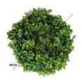 Slime-line Green Wall Disc 80cm Mixed Green Fern & Ivy - Easy Install Black Frame - SuperSaverAU - view 1