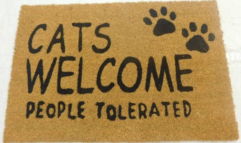 Cats Welcome People Tolerated Doormat, Multi Colour, 60x40cm, Coir & Rubber