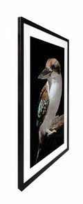 Mystery Kookaburra Artwork Framed Wall Art 80x120cm Multi Colour Glass Decor - SuperSaverAU - view 3