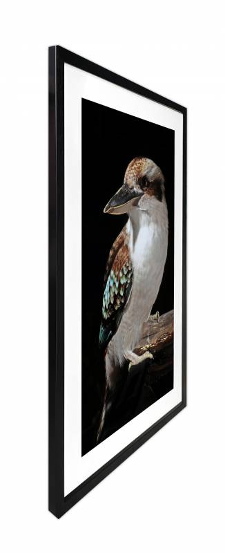 Mystery Kookaburra Artwork Framed Wall Art 80x120cm Multi Colour Glass Decor - SuperSaverAU - view 3