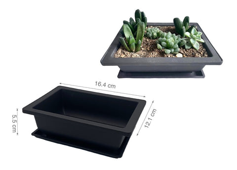 Bonsai Succulent Planter w Tray, 16cm, Black, 24 Pack, Plastic, Elegant Design - SuperSaverAU - view 1