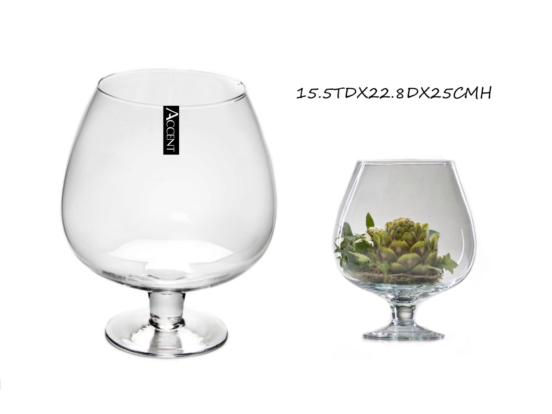 Glass Brandy Balloon Vase Set of 4, Clear, 25cm - Stylish Home Decor - SuperSaverAU - view 1