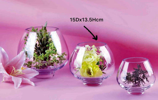 Premium Glass Bowl Vase for Decor & Fishbowl - Clear 15cm
