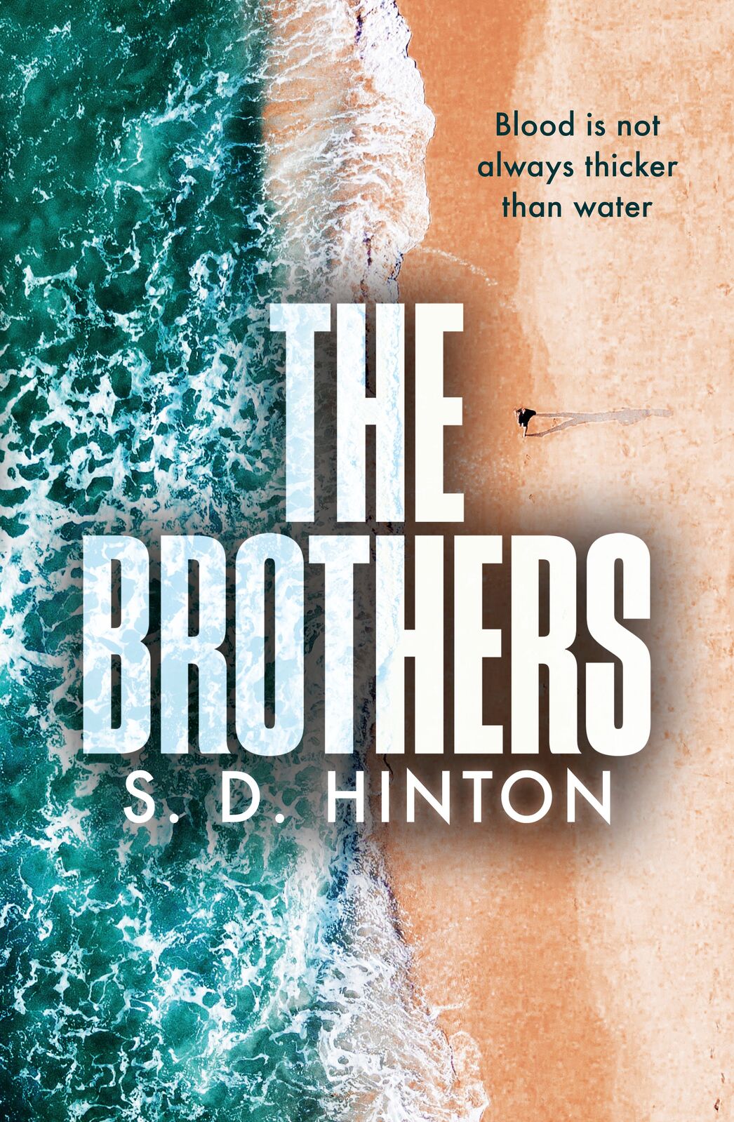 The Brothers Novel by S.d. Hinton - Mystery Thriller, 400 Pages