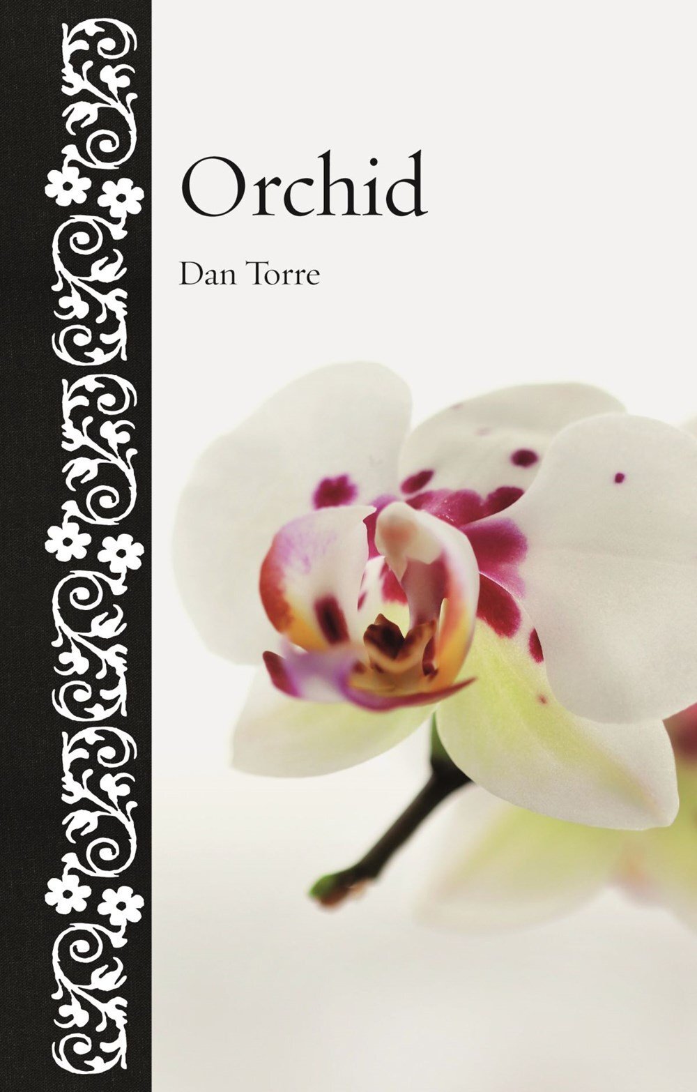 Dan Torre Orchid: A Cultural and Natural History