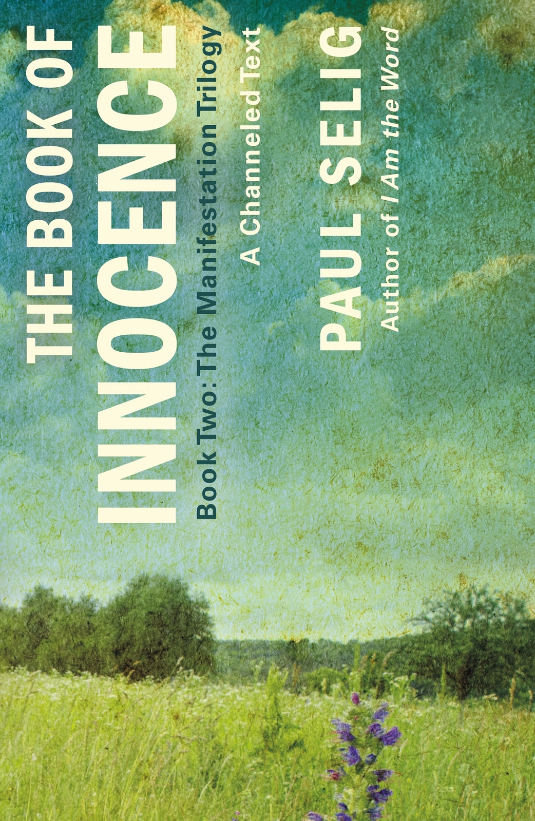 The Book of Innocence by Paul Selig - Paperback