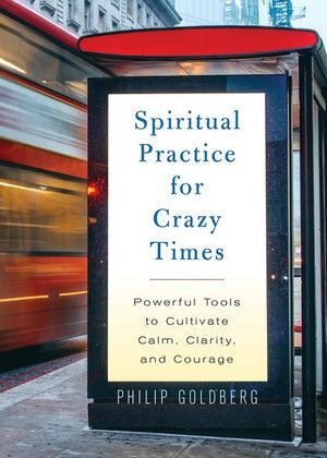 Philip Goldberg: Spiritual Practice for Crazy Times - Tools for Clarity
