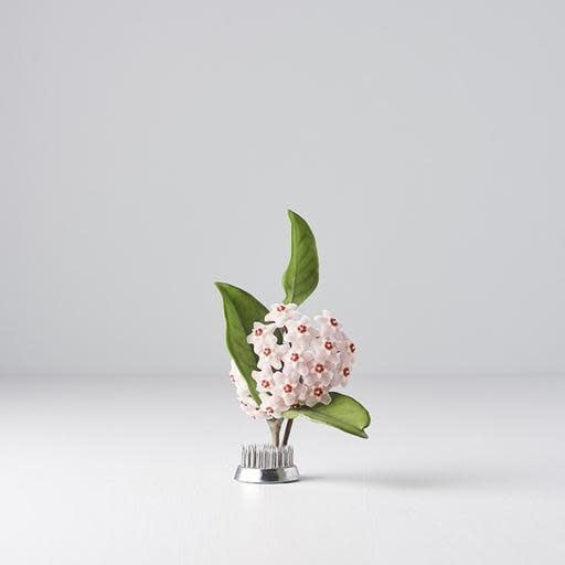 Kenzan Ikebana Pin Base 3.6cm Floral Arrangement Holder