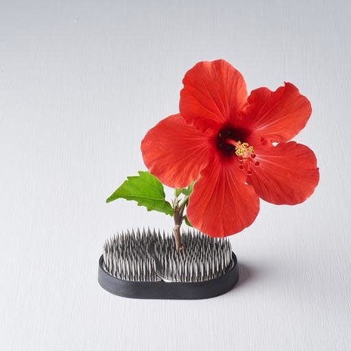 Premium Kenzan Ikebana Pin Base with Joined Circles - 9cm