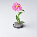 Premium Round Kenzan Ikebana Pin Base - 6cm
