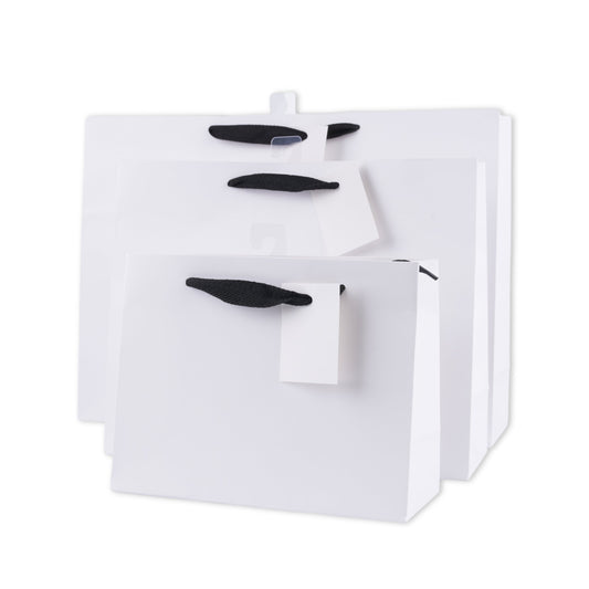 bulk 24 Large Landscape Gift Bags w Handle 26x32cm