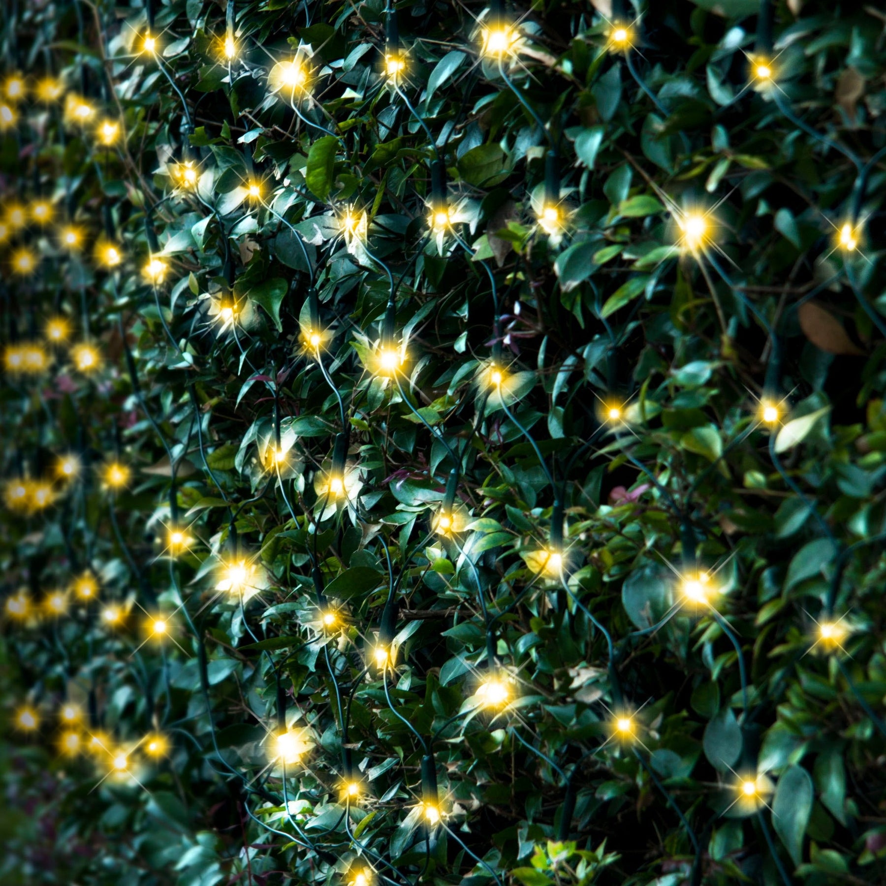Solar 250 LED Net Light available in 3 Colors - Cool White - SuperSaverAU - view 1